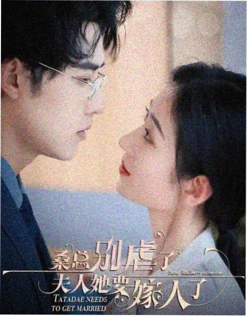 南岸旧事 电视剧在线播放